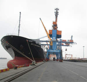 Bolsa de 50 kg de Cemento Portland - Product Image 4