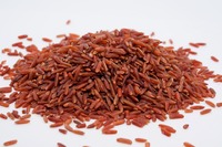 Beras Putih Premium Berkualitas Tinggi, Beraroma Harum, Butir Panjang, Kering, Tekstur Keras, Bersertifikat HACCP, Asal Vietnam