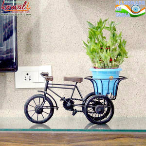 Support à plantes en fer forgé de qualité supérieure, modèle miniature décoratif, pot à plantes avec prix de gros en provenance d'Inde - Product Image 6