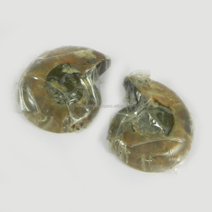 Ammonite ธรรมชาติ27X23มม. 1คู่ฟรีฟอร์ม14.80 Gms อัญมณีหลวมสำหรับทำเครื่องประดับ - Product Image 2