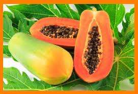 ハーバルパパヤフルーツパウダー - Product Image 5