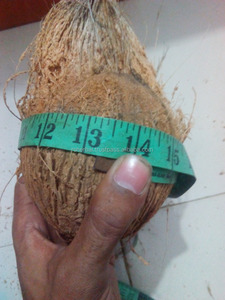 신선한 성숙한 코코넛 작물 달콤한 물 반껍질 CTC 브랜드 - Product Image 6