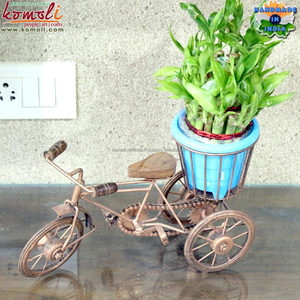 Pianta per biciclette <span class=keywords><strong>in</strong></span> <span class=keywords><strong>ferro</strong></span> <span class=keywords><strong>battuto</strong></span> rivestita <span class=keywords><strong>in</strong></span> rame modello di fioriera decorativa per decorazioni da giardino per interni ed esterni - Product Image 3