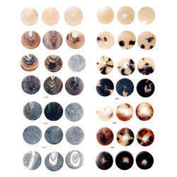 Natural buey/cuerno de vaca real botón en negro y marrón fabricante en la india - Product Image 3