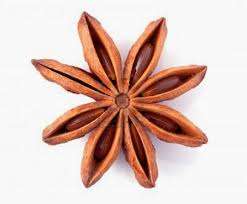 เครื่องเทศยี่หร่าผสมคุณภาพสูงจากเวียดนาม Lang ลูกชายอบแห้งดาว - Product Image 5