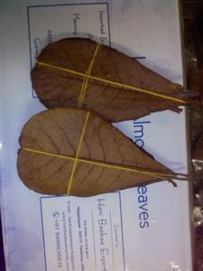 Feuilles de Ketapang indien pour poisson Produit pour animaux de compagnie haut de gamme - Product Image 3