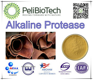Proteasa alcalina 100% Pureza MEGA Marca utilizada en Tansilk Tratamiento médico Alimentos Etc. para aplicaciones textiles y de cuero - Product Image 3