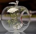 Fruit Shape Soy Wax Eco-Friendly Handmade Lavender Scent <b>Tea</b> <b>Light</b> Holder Flameless Candle Outdoor Home Decoration Design - Product Image 4