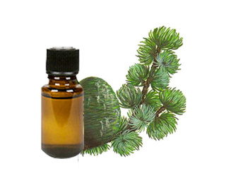 Brownish yellow clear liquid