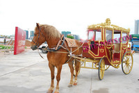 Calèche à Buggy de cheval indien pour mariage, Buggy en forme de calèche de chaperon de couronne royale, pour le mariage