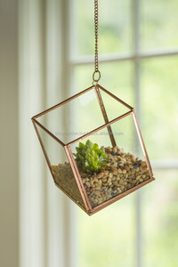 Terrarium géométrique d'intérieur, verre, plante d'intérieur de haute qualité, terrarium géométrique - Product Image 2