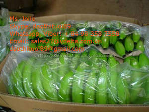 FRESH CAVENDISH BANANA Vietnam 2024 - Product Image 3