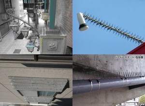 Punta de control de aves ajustable en longitud según el rango instalado - Product Image 6