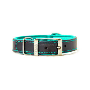 Fabricante de India, venta al por mayor, Collar de entrenamiento para perros y gatos de cuero acolchado de lujo, remaches sólidos disponibles, opciones coloridas - Product Image 4