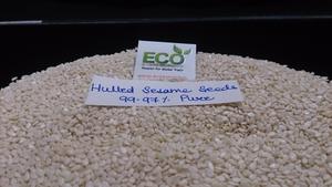 Exportateur de graines de sésame en Inde - Product Image 6