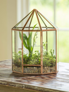 Terrario geométrico de vidrio de gran tamaño, planta de aire, Terrario de vidrio en venta - Product Image 6
