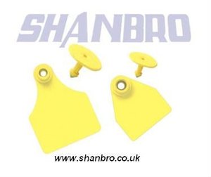 Etiquetas para orejas de ganado, SB-7-701 paquistaní de 3 meses, ISO9001, plástico SHANBRO, granja de soporte en línea, PK - Product Image 2