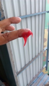 ROYAL NLGI 2 Graisse à base de lithium de couleur rouge Lubrifiant automobile avec composition en huile de base - Product Image 2