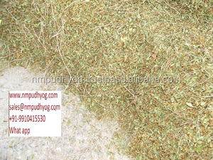 Conos de <span class=keywords><strong>henna</strong></span> de la mejor calidad, Pakistán - Product Image 4