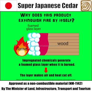 วัสดุก่อสร้างไม้ทนไฟสำหรับบ้าน - Product Image 3