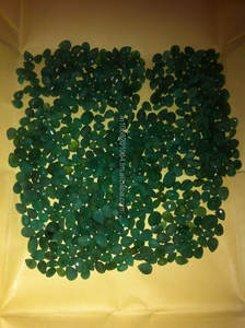 พลอยมรกตธรรมชาติคุณภาพสูงในมรกตตัดรูปหัวใจทรงรีสำหรับทำเครื่องประดับคริสตัลจากห้องทดลอง - Product Image 5