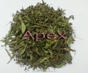 <span class=keywords><strong>Stevia</strong></span> Rebaudiana <span class=keywords><strong>Stevia</strong></span> yaprak tozu <span class=keywords><strong>T</strong></span> çanta kesilmiş organik - Product Image 1