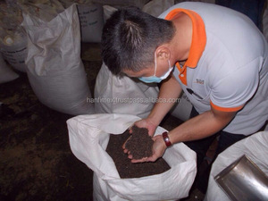 Poivre noir 570G/L NETTOYÉ ÉPICES vietnamiennes en vente Mme Kathryn 0084327324400 - Product Image 6