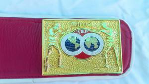 Tam IBF güreş kemer mma boks kick boks <span class=keywords><strong>muay</strong></span> <span class=keywords><strong>thai</strong></span> ibf kemer - Product Image 6