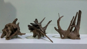 รากต้นดริฟท์วูดตู้ปลาประเทศไทย - Product Image 2