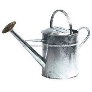 Arrosoir en métal, Pot d'arrosage en acier galvanisé avec bec pulvérisateur amovible, poignée supérieure mobile, facile à utiliser pour l'extérieur du jardin - Product Image 1