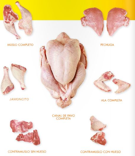 Halal Frozen Whole Chicken premium quality