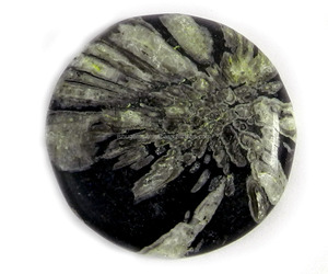 หินโมราดอกเบญจมาศธรรมชาติ38มม. กลม Cabochon 91.75 Cts อัญมณีหลวมสำหรับทำเครื่องประดับ - Product Image 1