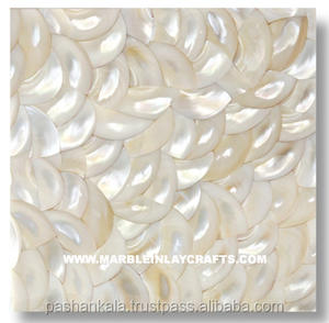 Azulejo Decorativo de Concha Marina Blanca Ghonga Paua - Product Image 1