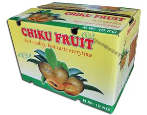 Fruit Packaging Corrugated Carton Box Paper for Chiku Fruit Export