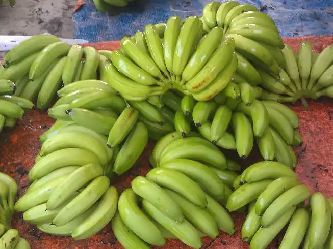 Banane japonaise japonaise fraîche, couleur verte, origine Vietnam