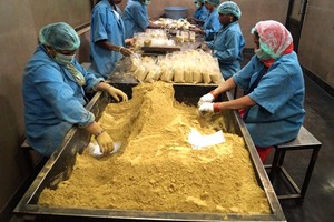 La mejor calidad Ecocert certificado semipermanente Sojat Henna en polvo Triple refinado naranja Rajasthan Color de cabello certificado - Product Image 2