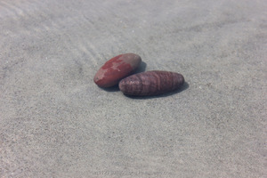 Rudra Enterprises Stone Narmadeshwar Shivalinga宗教ボールグローブ仏教洗練されたインドアートコレクティブル10122740像 - Product Image 5