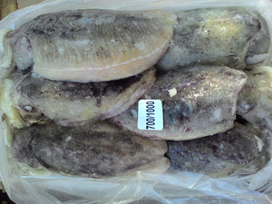 Origem Natural Bleached <span class=keywords><strong>White</strong></span> Cuttlefish Powder Fresco Seco Todo Estilo com Prateleira Congelada Peso Caixa Embalagem Saco Características - Product Image 4