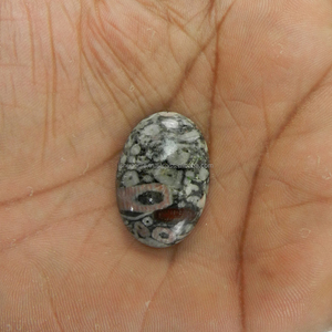 Alta calidad 29x20mm Natural Crinoid Blue Silver Oval Cabochon 33,5 Cts Piedra preciosa suelta para la fabricación de joyas Collar de plata azul - Product Image 1