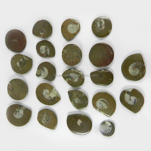 Gema Natural de amonita 100 Gm, cabujón de forma libre, 21 Uds. Por lote, venta al por mayor de India - Product Image 2