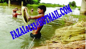 Produit en fibre de jute brute - Product Image 6