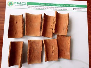 <b>Cinnamon</b> Cortex assia stick from Vietnam - Product Image 4