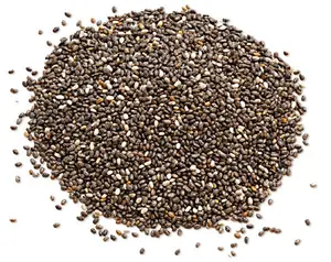 Chia Seeds - Salvia Hispanica