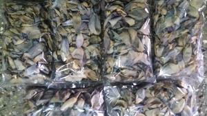 YAMUNA Brown Dried Lotus <b>Flower</b> <b>Decorative</b> <b>Plants</b> <b>and</b> <b>Flowers</b> Elegant Product for Home or Office Herbal Decor - Product Image 2