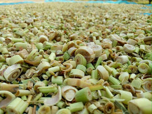 Hierba de limón seca - Product Image 3