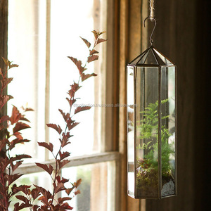 Hanging Geometric Glass Terrarium <b>Plants</b> - Product Image 3