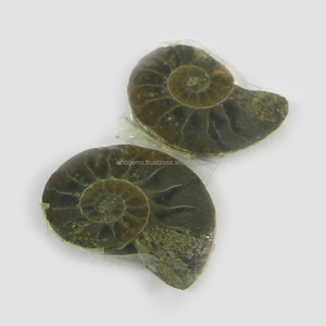 Pierre précieuse naturelle en amonite 23x17mm, 1 paire, 5 Gms, ample, pour la fabrication de bijoux, livraison gratuite - Product Image 1