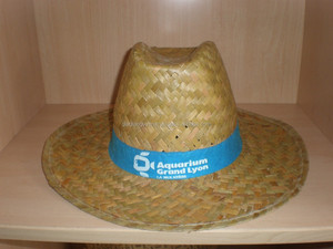 Fábrica de Vietnam de sombrero de paja, sombrero de hoja de palma, sombrero promocional _ precio más barato 2017( MS MARY- info@gianguyencraft.com) - Product Image 3