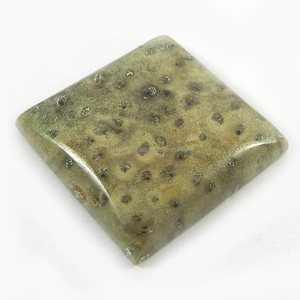 Cabochon carré en pierre précieuse de jaspe de bois de palmier naturel de 9,85 g, 27x27 mm, pour bijoux IG0800 - Product Image 1