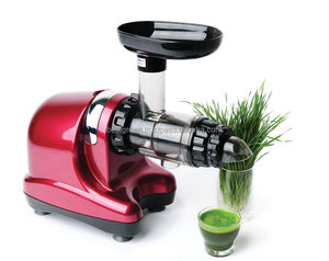 Single gear wheatgrass <strong>juicer</strong> nut butter maker made in korea juice extractor <strong>Oscar</strong>